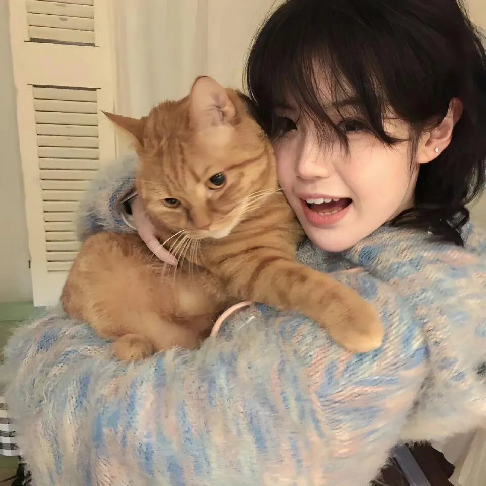 我的霸总上司 太耀眼